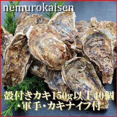【北海道根室産】殻付カキ150g以上×40個 D-57028