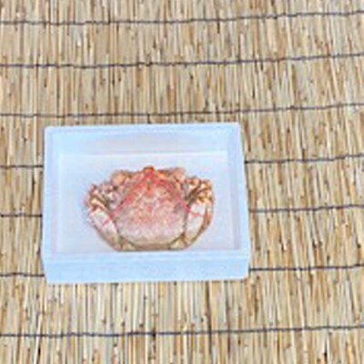 毛かに400g前後～550g前後×1尾 B-76007