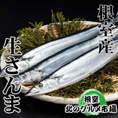 【北海道根室産】冷凍さんま5尾×12P(計60尾) D-76001
