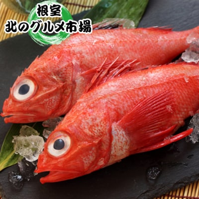 【北海道根室産】キチジ(メンメ・キンキ)7尾～11尾(下処理済) E-76001