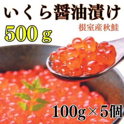 【北海道根室産】いくら醤油漬け100g×5P B-83004