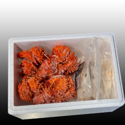 【北海道根室産】花咲かに500g～650g×2尾、たこ唐×2P C-30075