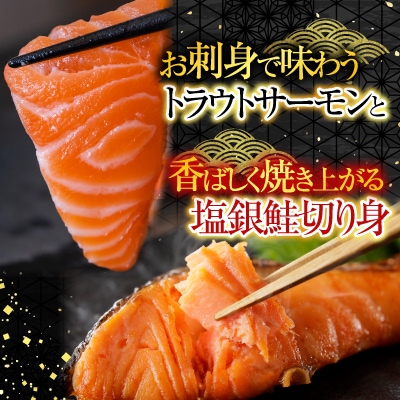 トラウトサーモン6～12本&塩銀鮭切り身1切×30P D-09040