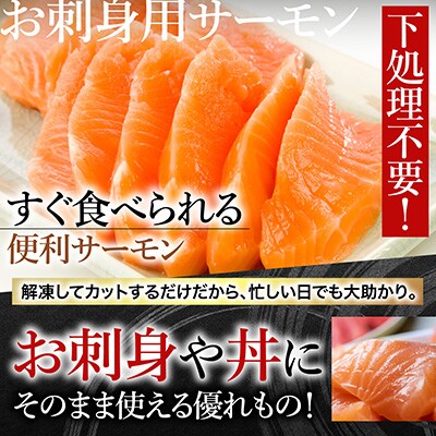 トラウトサーモン8～16本&サーモン12～24枚 E-09004