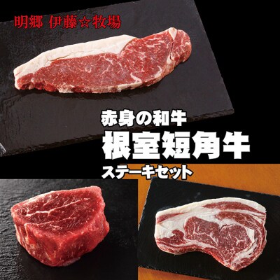 【北海道根室産】短角牛ステーキ3種セット C-13009