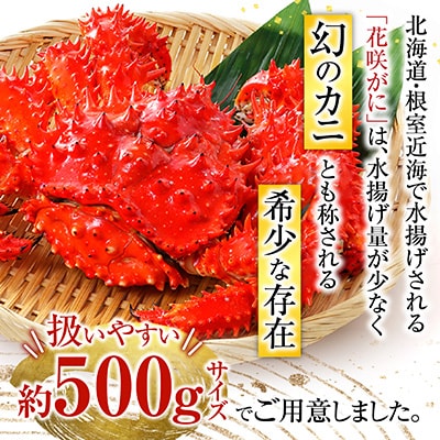 【北海道根室産】花咲がに500g前後×2尾 G-54002