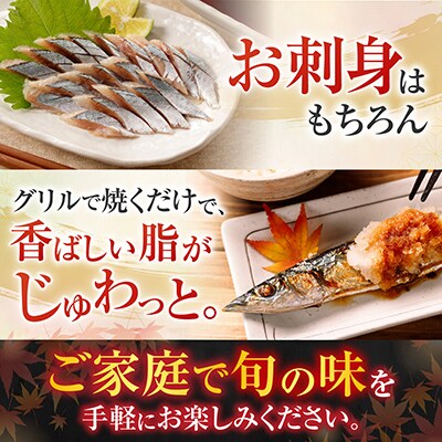 【北海道根室産】冷凍生さんま5尾×2P G-30001