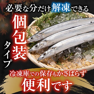【北海道根室産】冷凍生さんま5尾×2P G-30001