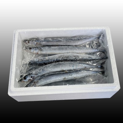 【北海道根室産】冷凍生さんま5尾×2P G-36001