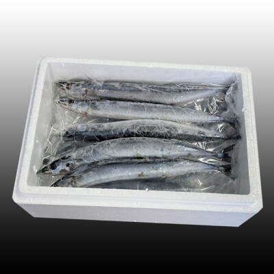 【北海道根室産】冷凍生さんま5尾×2P G-76001