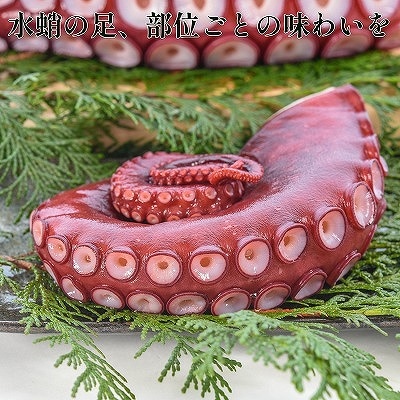 【北海道根室産】ボイル水たこ足先3P(計1kg) A-20008