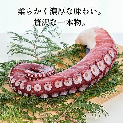 【北海道根室産】ボイル水たこ足1本(1kg) A-20007