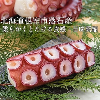 【北海道根室産】ボイル水たこ足ブロック3P(計1.5kg) B-20007