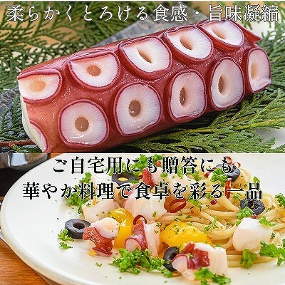 【北海道根室産】ボイル水たこ足ブロック500g、スライス150g A-20010