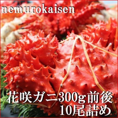 【北海道根室産】花咲ガニ300g×10尾 C-57047