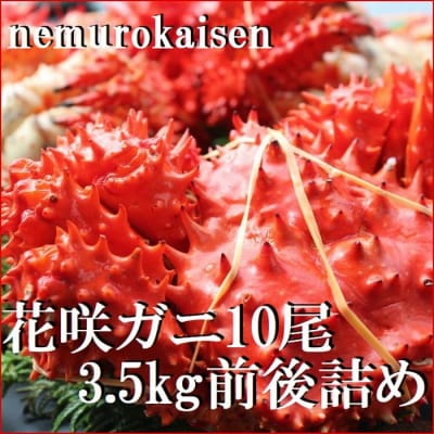 【北海道根室産】花咲ガニ10尾(計3.5kg前後) C-57052