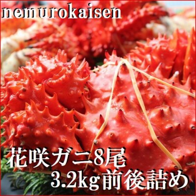 【北海道根室産】花咲ガニ8尾(計3.2kg前後) C-57053