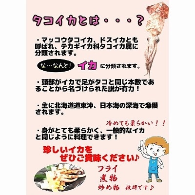 タコイカ開き一夜干し1枚×5P G-50004