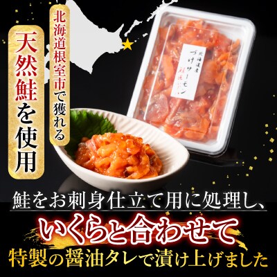 【北海道根室産】＜鮭匠ふじい＞漬けサーモン丼の具14P B-42026