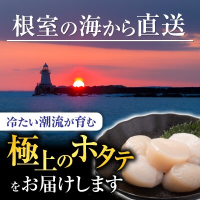 ＼漁業者応援品/【北海道根室産】お刺身帆立貝柱400g×4P D-42060