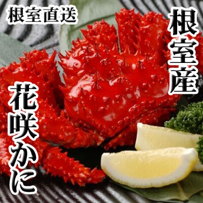 【北海道根室産】花咲かに400g前後～600g前後×2尾 A-30030