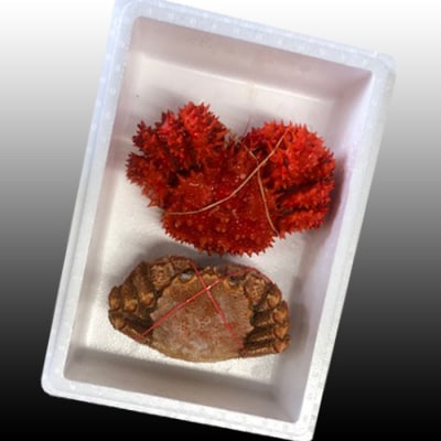毛かに400～550g・花咲300～450g前後 B-36042