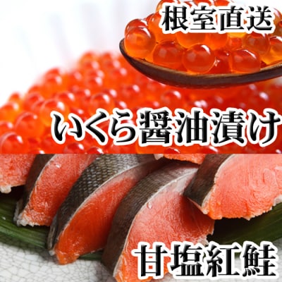 いくら醤油漬け100g×2P、紅鮭切身5切×4P C-70024