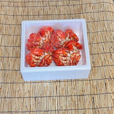 【北海道根室産】花咲かに400g前後～500g前後×4尾 C-76039