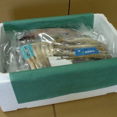 干物セット B-33002