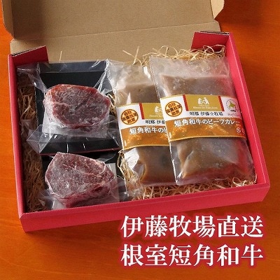 【北海道根室産】和牛ヒレステーキ150g×2P、ビーフカレー2P C-13004