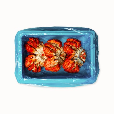 【北海道根室産】花咲かに800g×3尾(計2.4kg) D-20012