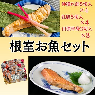 根室お魚セット C-66020