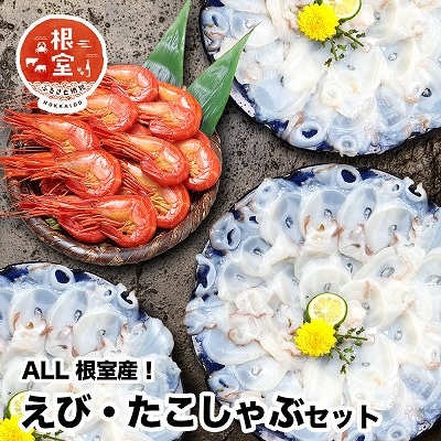 【北海道根室産】シマエビ400g・タコしゃぶ250g×4Pセット B-24019