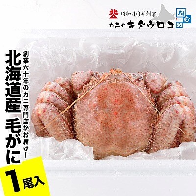 毛がに550g～650g前後×1尾 B-25027