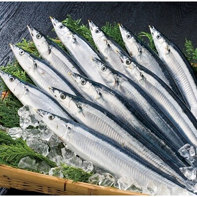 【北海道根室産】冷凍生サンマ20尾(真空パック5尾入×4P) A-71050