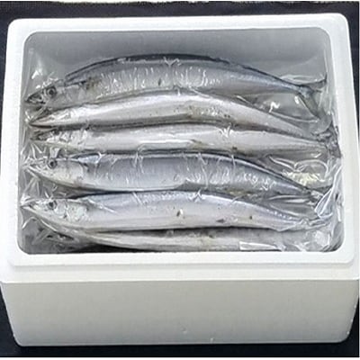 【北海道根室産】冷凍生サンマ20尾(真空パック5尾入×4P) A-71050