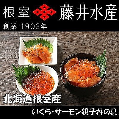 【北海道根室産】いくら・サーモン親子丼の具 D-42044