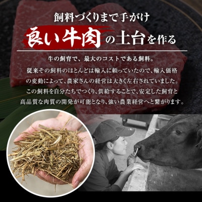 A5等級鹿児島県産黒毛和牛焼肉切落し(計500g・250g×2パック)