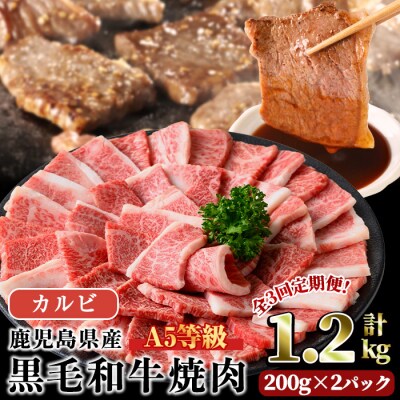 【3回定期】A5等級鹿児島県産黒毛和牛カルビ焼肉(計1.2kg) 