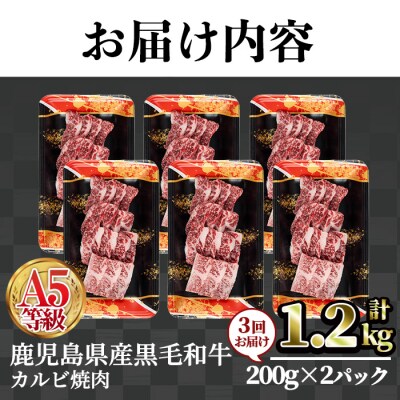 【3回定期】A5等級鹿児島県産黒毛和牛カルビ焼肉(計1.2kg) 