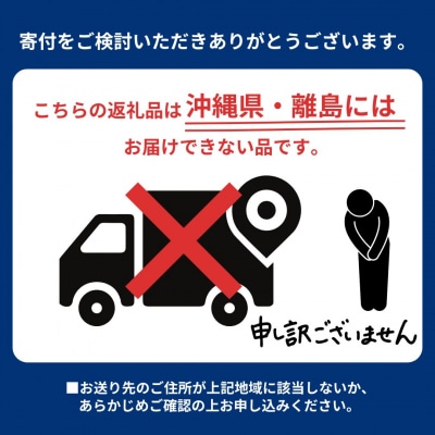 先行受付 和梨 なつしずく 約3kg 令和8年産 新潟県 三条市産【016P036】