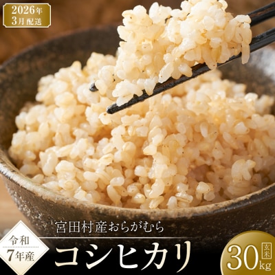 【先行受付】【令和7年米】長野県宮田村産コシヒカリ/玄米/30kg/令和8年3月配送