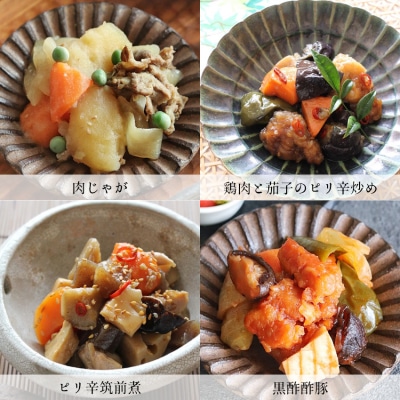 お惣菜おかわりの無添加のお惣菜セット/12種類各1個合計12個のセット　一人暮らし 冷凍 レトルト　