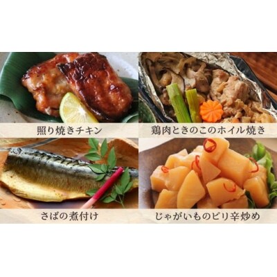 【定期便4ヶ月】お惣菜おかわりの無添加のお惣菜セット/12種類各1個合計12個のセット