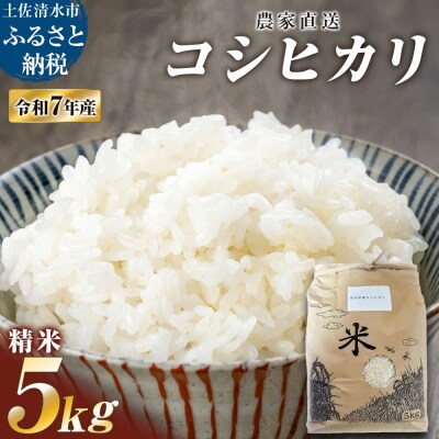 農家直送 令和7年産 コシヒカリ精米 5キロ 白米 高知県産【R01555】