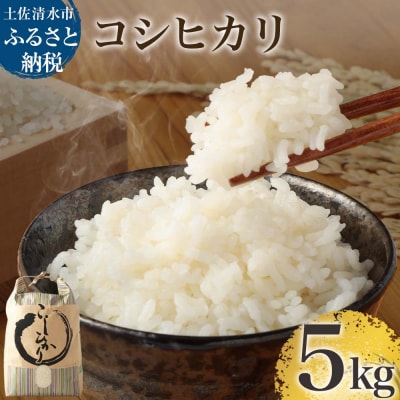 令和7年産 コシヒカリ精米5kg(1袋) R01408