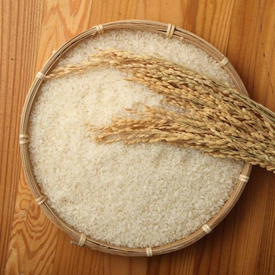 令和7年産 新米 コシヒカリ精米5kg(1袋)×3回定期便 白米 お米 ご飯 高知産【J00219】