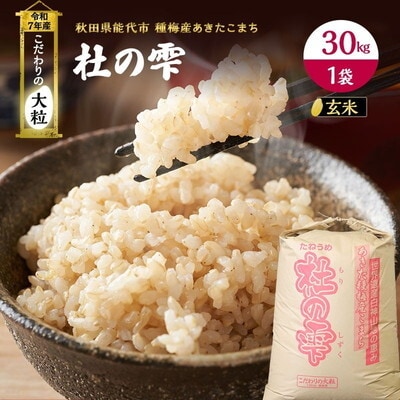 令和7年産  玄米 あきたこまち 杜の雫 30kg 1袋 [No.5335-0208]
