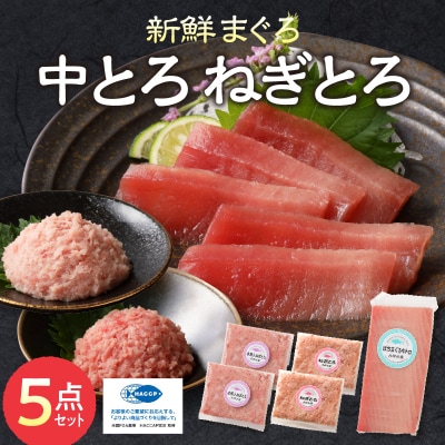 まぐろ 中トロ ねぎとろ 焼津 マグロ 詰合せ セット S3(a11-042)