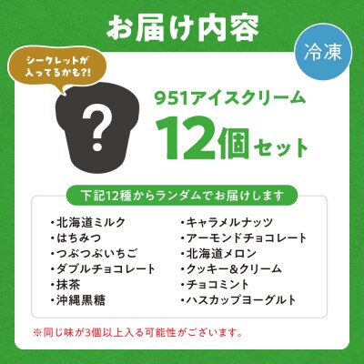 【福袋】951アイスクリーム　12個セット_hs359-031